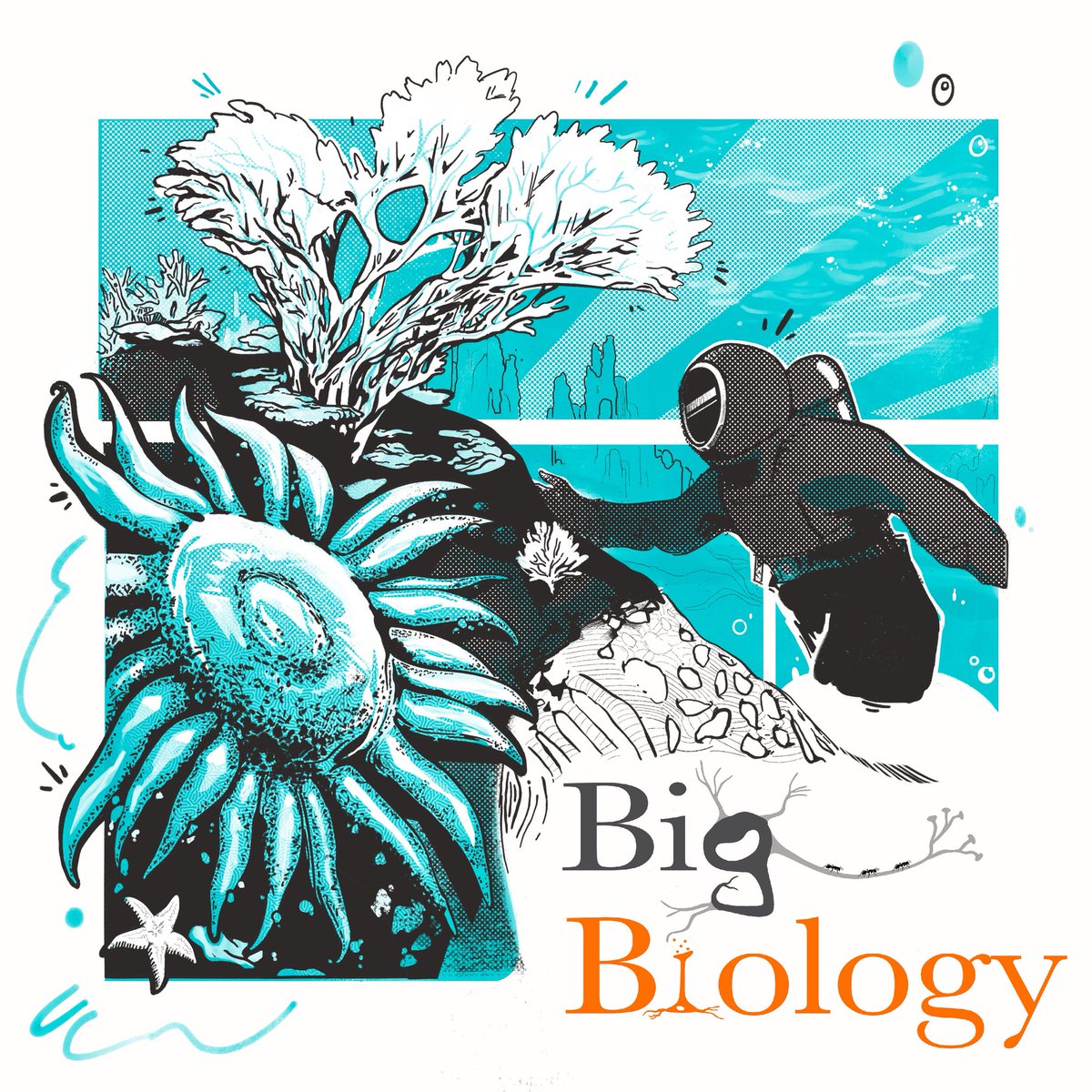 Big_Biology's tweet image. 💭Not all heroes have spines💭
🌊On this episode, we talk with Drew Harvell, Professor Emerita of EEB at Cornell University and author of The Oceans Menagerie: How Earth’s Strangest Creatures Reshape the Rules of Life.
🎙️Episode out now!
🖼️: @korionart
#science #biology