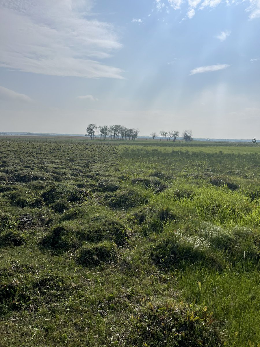 Were giving the old swamp a workout this year.