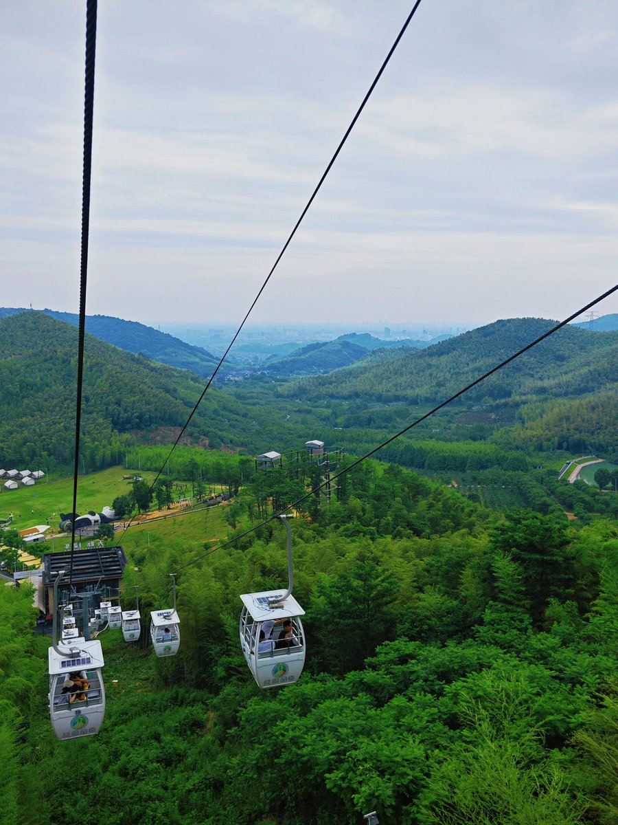 柠檬茶 sh夫妻 tweet media