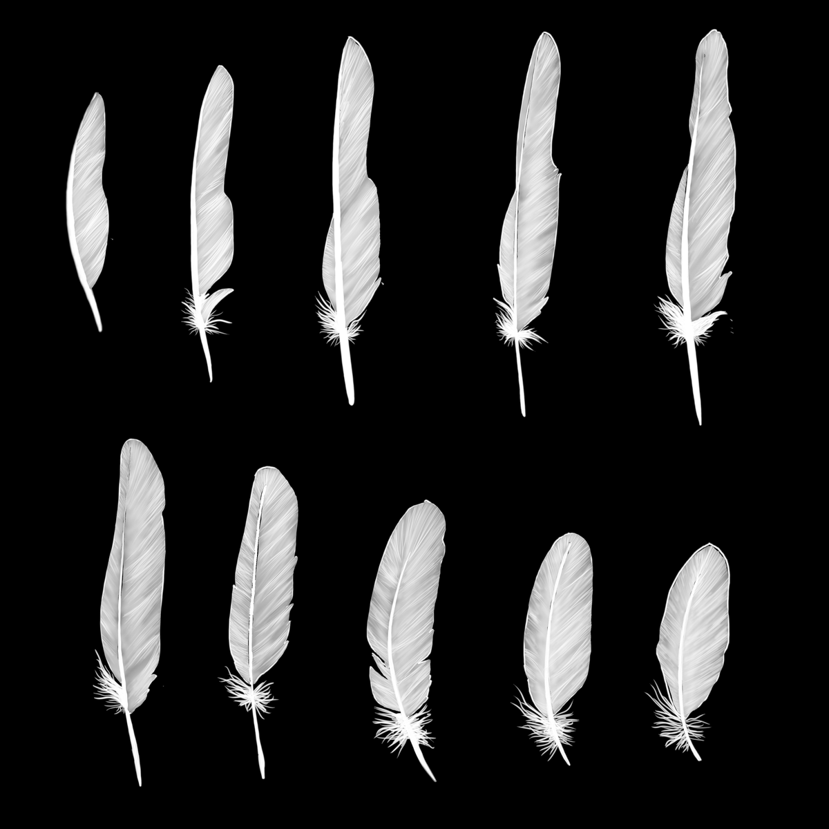 he_who_frolics's tweet photo. Working on some hand painted alphas for the Basilisk model. Going to try out various versions and see where it goes.
#3dartist #texuring #modeling #photoshop #asgadrian #hewhofrolics #solodev #gamedev https://t.co/HVIacBn8jn