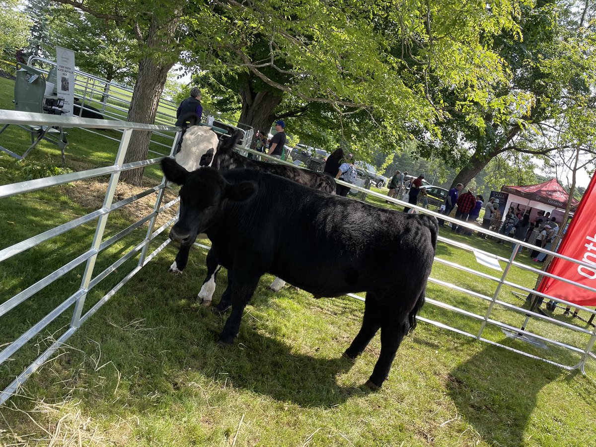 Beef Farmers of Ontario (@beeffarmerson) on Twitter photo ☀️ Rise and shine for Breakfast on the Farm with <a href="/FarmFoodCareON/">Farm & Food Care Ontario</a>, Hoenhorst Farms and our agricultural partners. Thanks to <a href="/TrevorJonesCKL/">Trevor Jones</a> <a href="/erniehardeman/">Ernie Hardeman</a> <a href="/SenatorRobBlack/">Senator Rob Black, P. Ag. (Hon)</a> <a href="/ArpanKhanna/">Arpan Khanna</a> for stopping by to chat with our event team. #FarmBKFST #ontag ☀️ Rise and shine for Breakfast on the Farm with <a href="/FarmFoodCareON/">Farm & Food Care Ontario</a>, Hoenhorst Farms and our agricultural partners. Thanks to <a href="/TrevorJonesCKL/">Trevor Jones</a> <a href="/erniehardeman/">Ernie Hardeman</a> <a href="/SenatorRobBlack/">Senator Rob Black, P. Ag. (Hon)</a> <a href="/ArpanKhanna/">Arpan Khanna</a> for stopping by to chat with our event team. #FarmBKFST #ontag