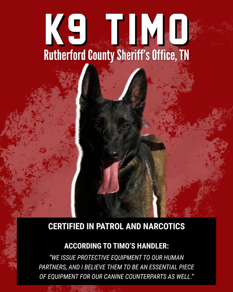 Spikesk9fund's tweet image. Right now, there are working dogs still waiting for their ballistic vests through our K9 Krijger #BallisticVest Campaign.

Will you help get them the life-saving protection they deserve?

🐺 K9 Timo is a newly certified patrol dog with the @RCTNSheriff. He’s preparing for his