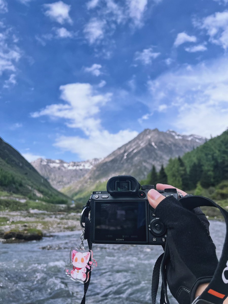 牙萌喵❤️ tweet media