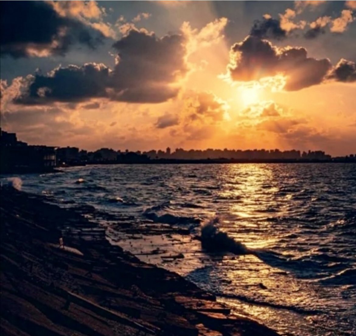 📌
Il colore della vita
F. K.
🥂⚡️❤️