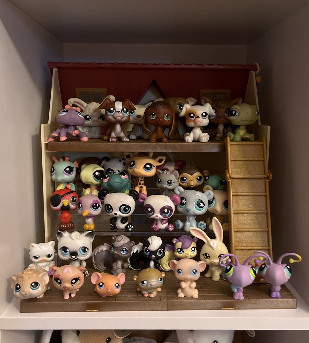 old littlest pet shops &gt;&gt;&gt;&gt;