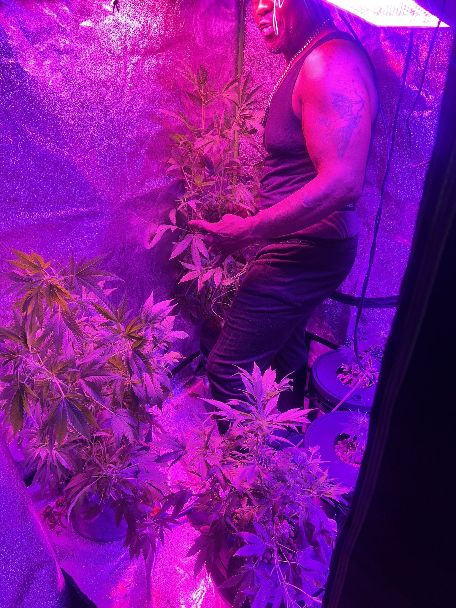 1 pic. I’m Bak! https://t.co/G7o1DmvfOA