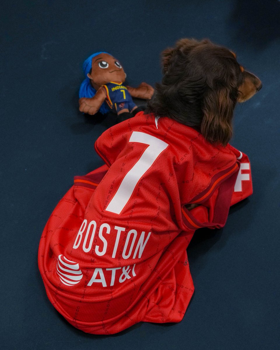make my mom, Aliyah Boston, a 3x WNBA All-Star 🐶❤️

help Ozzy Boston by voting at FeverBasketball.com/Vote 🗳️ votes count DOUBLE today!
