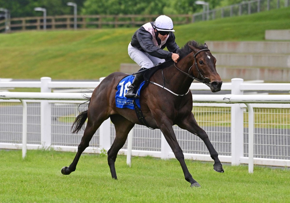 Mark Boylan (@mark_boylan1) on Twitter photo 🎩 Also some news that the highly-regarded Power Blue has been bought privately by <a href="/amoracingltd/">Amo Racing</a> ahead of the Coventry Stakes.
Stonestreet Stables (<a href="/StonestreetFarm/">Stonestreet</a>) and Amo have combined to purchase impressive Curragh maiden winner Ipanema Queen too. 🎩 Also some news that the highly-regarded Power Blue has been bought privately by <a href="/amoracingltd/">Amo Racing</a> ahead of the Coventry Stakes.
Stonestreet Stables (<a href="/StonestreetFarm/">Stonestreet</a>) and Amo have combined to purchase impressive Curragh maiden winner Ipanema Queen too.