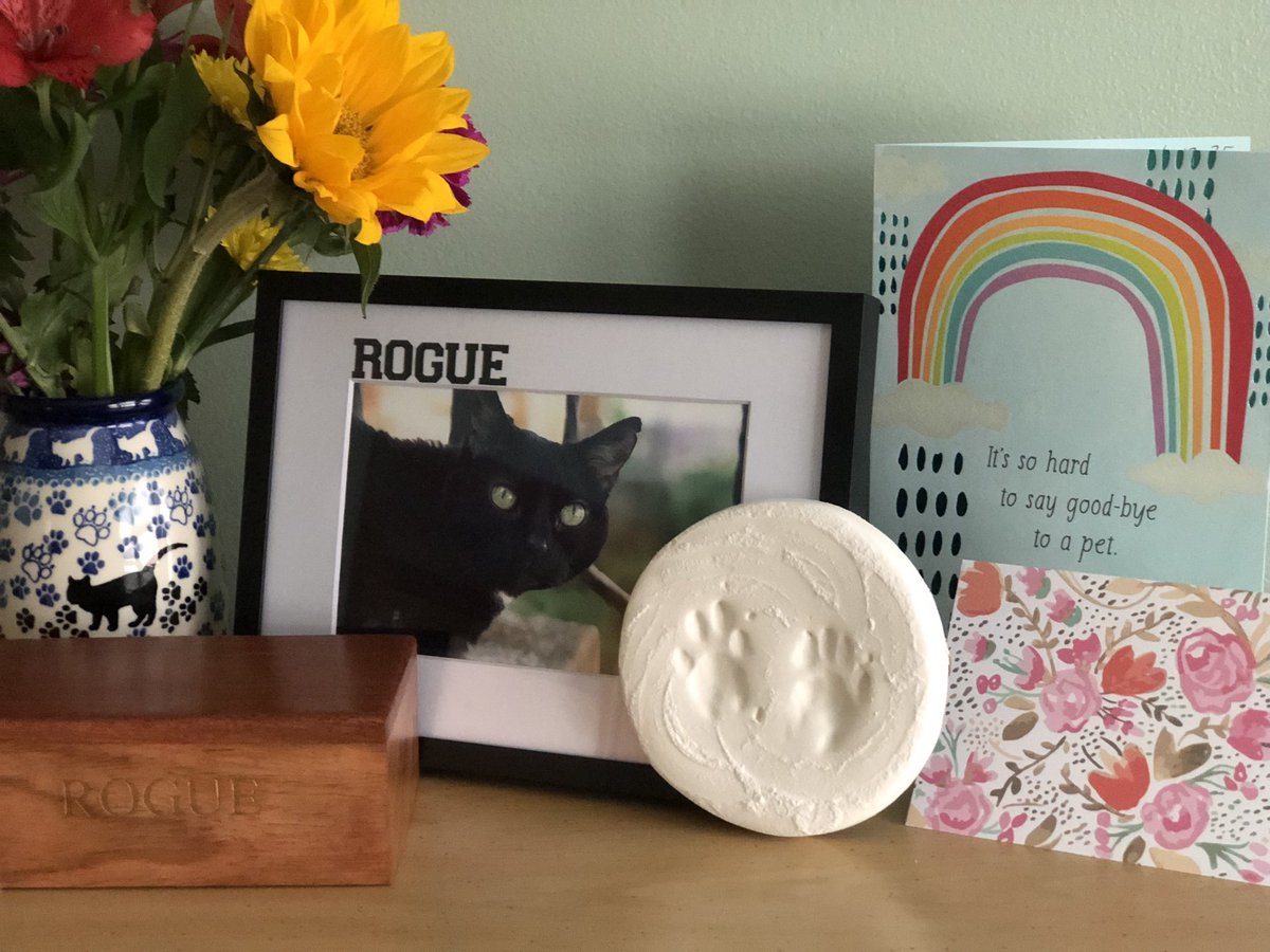 While we know Rogue 🐈‍⬛ is forever with us in spirit and in our hearts, it’s sad we will no longer have our normal “Saturday Caturday Family Hug Time.” 💔 Thank you to everyone for your lovely messages this week… It’s meant a lot.