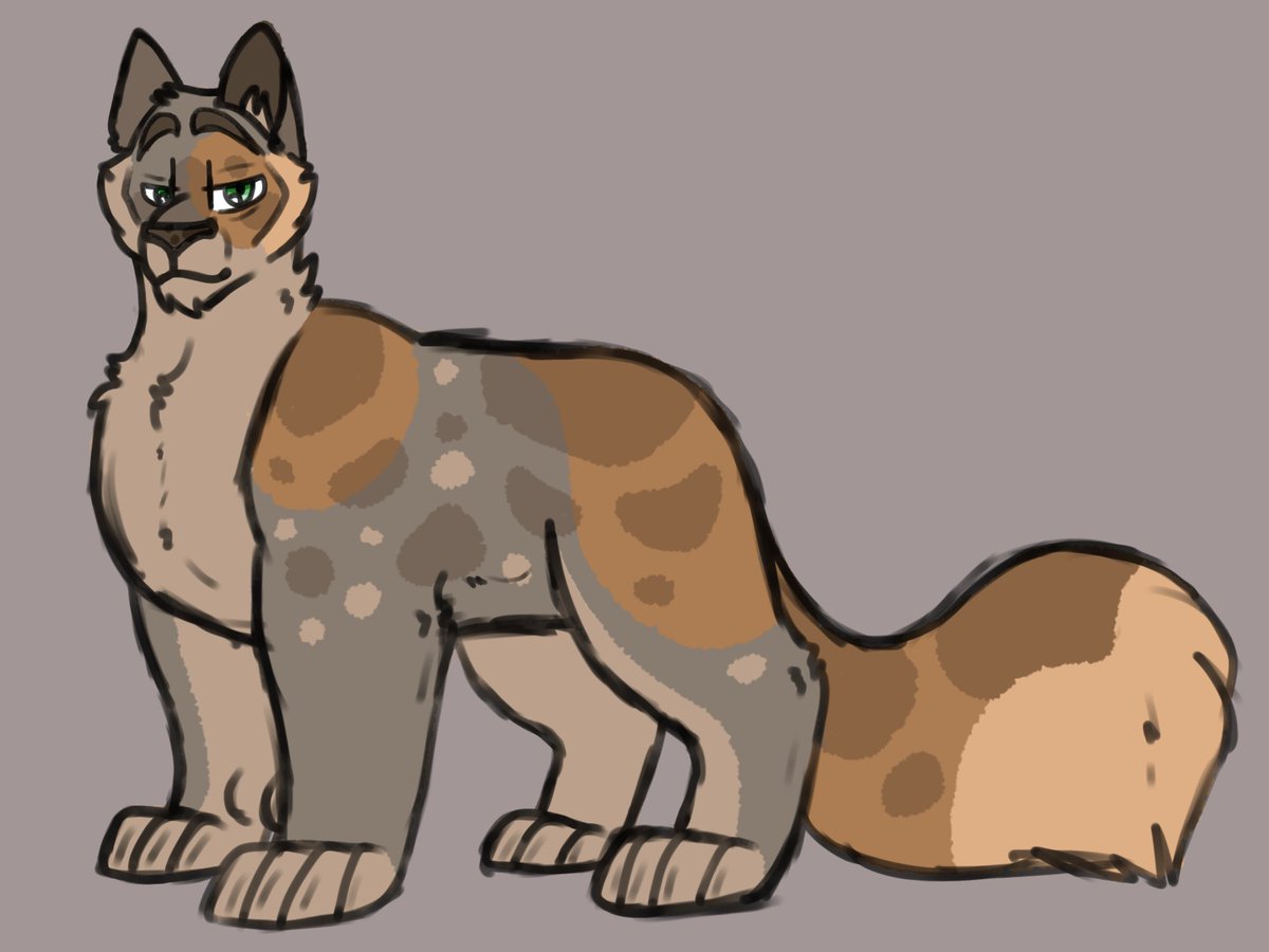 mara_murray24's tweet photo. After some trial and error I finished my design for crooked's dad shellheart. It bugs me that both him and rainflower are grey cats, and their sons are brown so I gave him some brown patches. bite me :)
'
'
[#warriorcats
#shellheart] https://t.co/6b3WgU3lOD