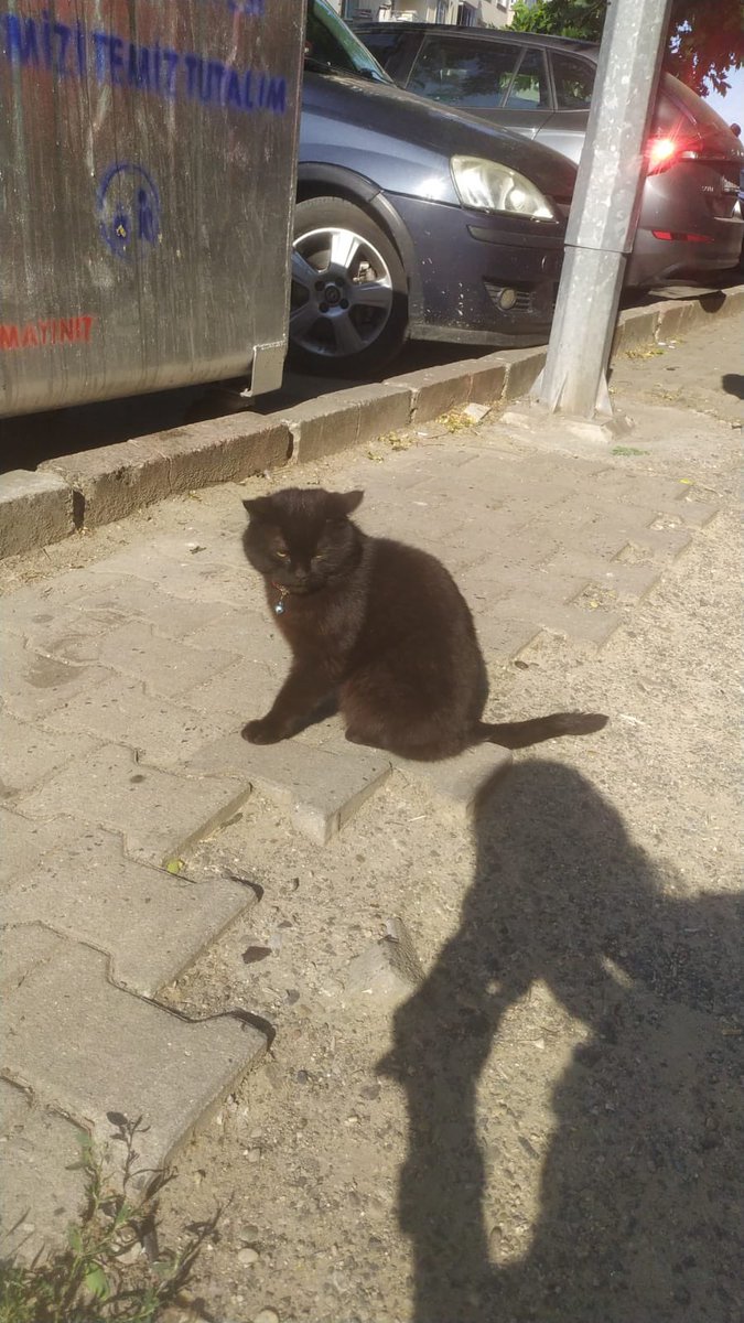 KAYBI OLAN VAR MI? 
Muhittin mahallesi adnan kahveci caddesi ÇORLU