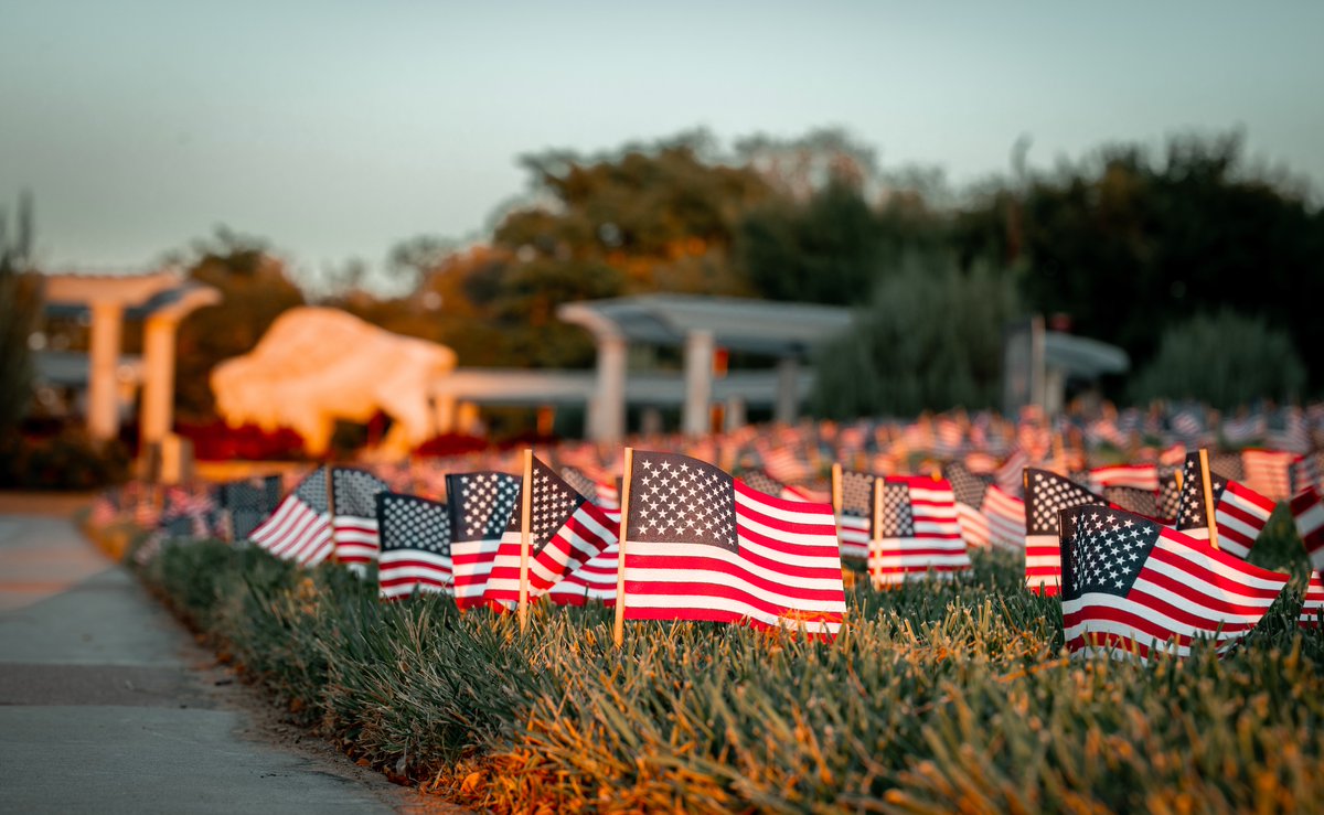 HAPPY FLAG DAY, BUFFS 🤙🇺🇸🦬🤍