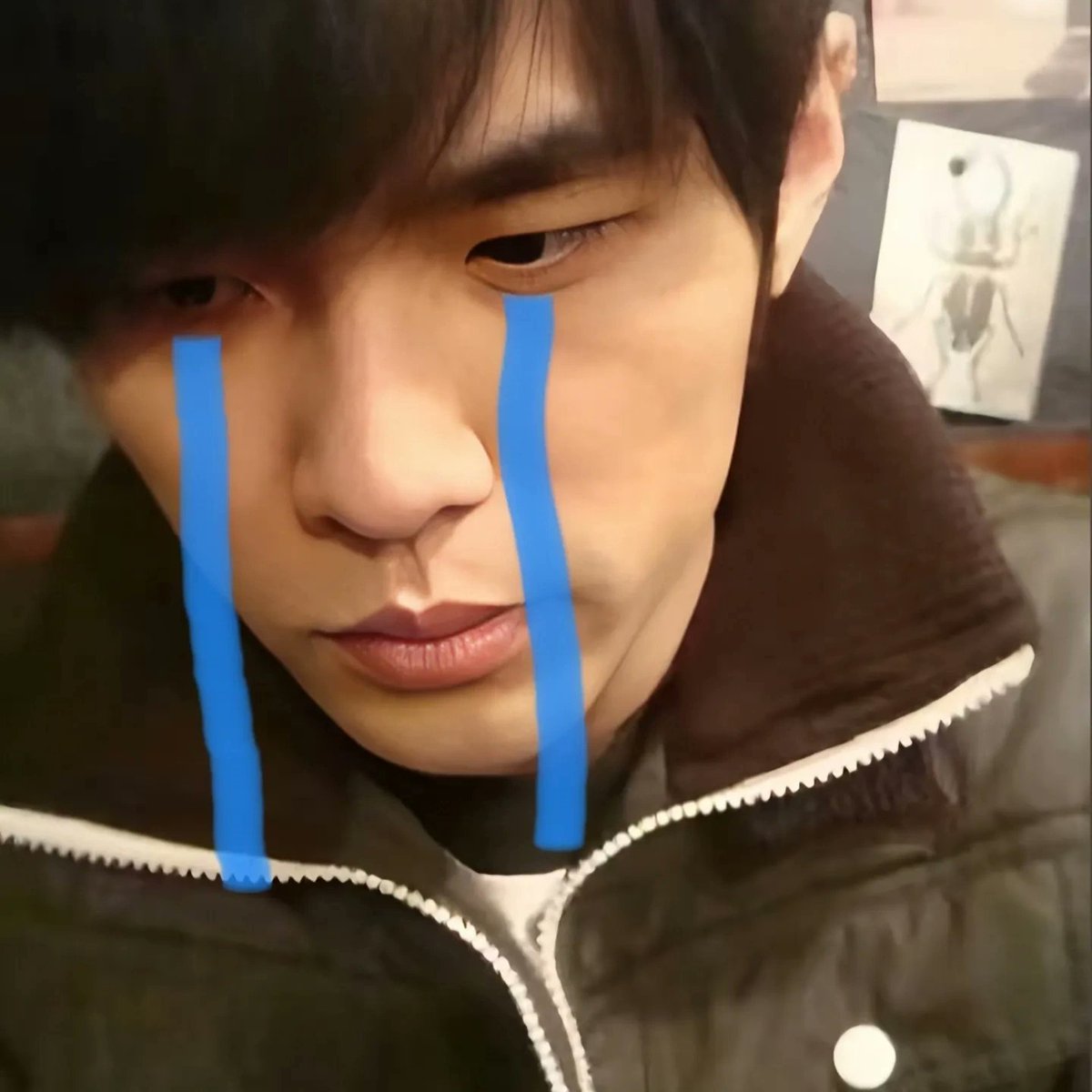 yuemou78's tweet photo. #新头像 https://t.co/QDRJkYe2KQ
