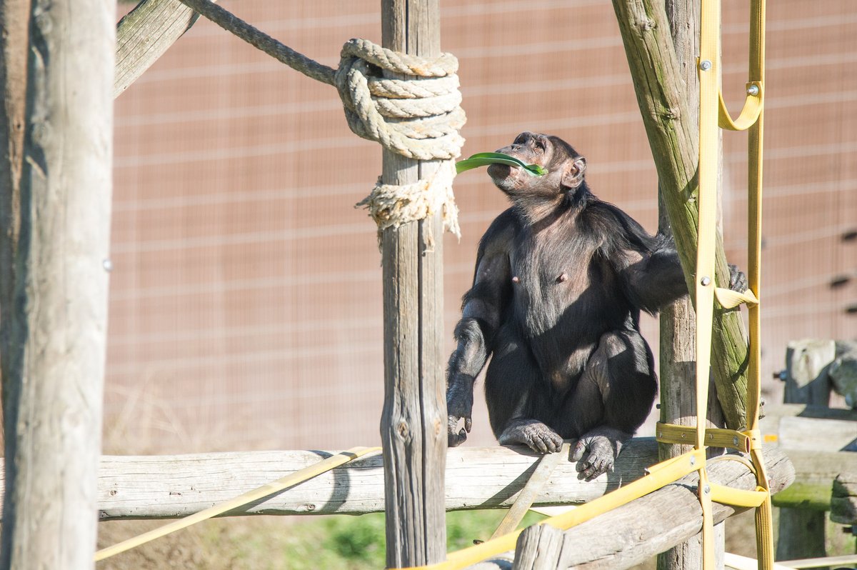 MONA_UK's tweet image. With her emotional intelligence and that special touch only she has, Africa continues to be essential to the stability of her group. And we, with your support, remain by her side—encouraging, supporting, and learning from her every day.