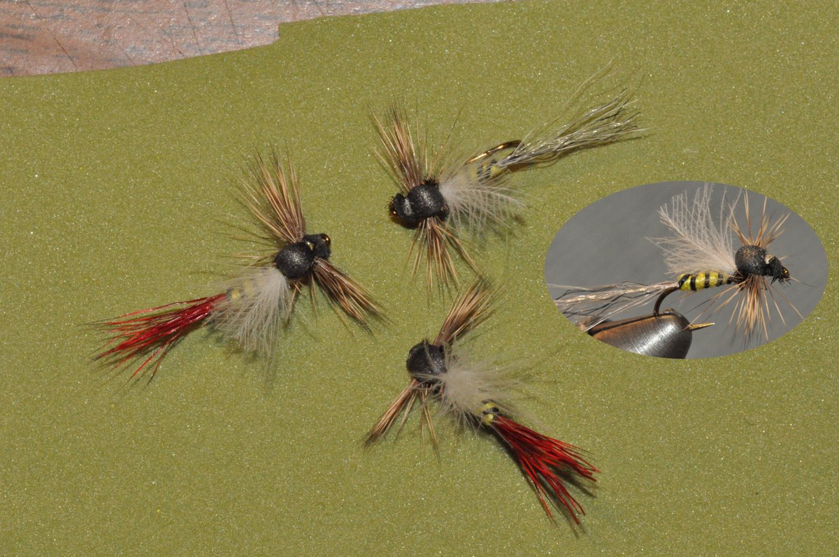 callaweginRob's tweet photo. I call this a bluegill cripple. Size 10 This is a great bluegill or bass top water fly. The following links show how to tie it and how it catches fish:
Tying video: https://t.co/KLgQ4KIlD9
Fishing video: https://t.co/IeDr49YWVI https://t.co/RCuDq4fvFk