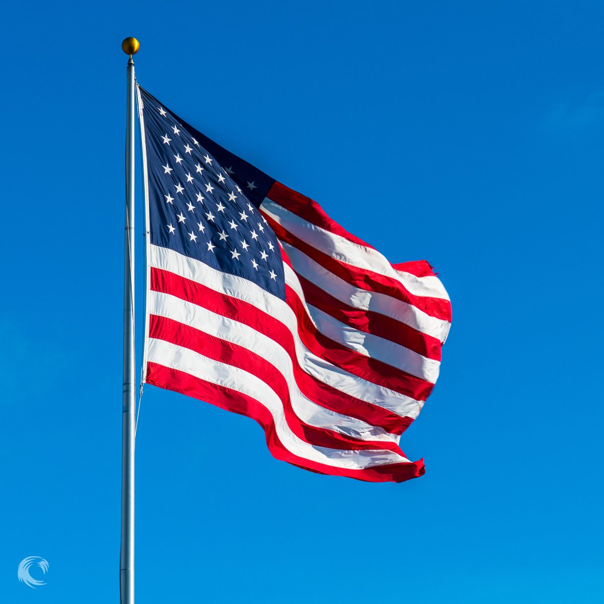 New Wave Energy tweet media