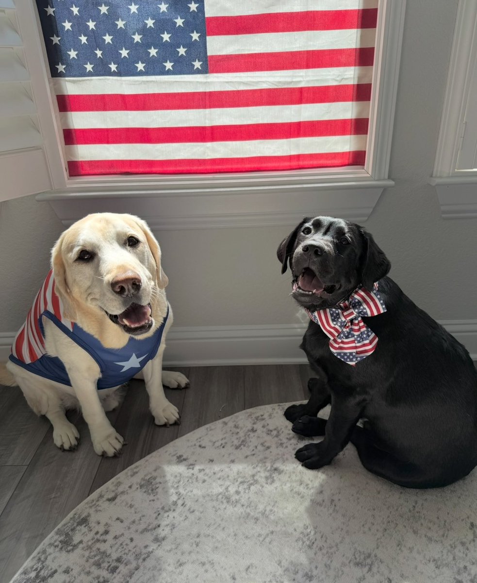 MadeeRN's tweet photo. You’re a grand old flag!! 🇺🇸 #FlagDay https://t.co/JwFVNwTZjj