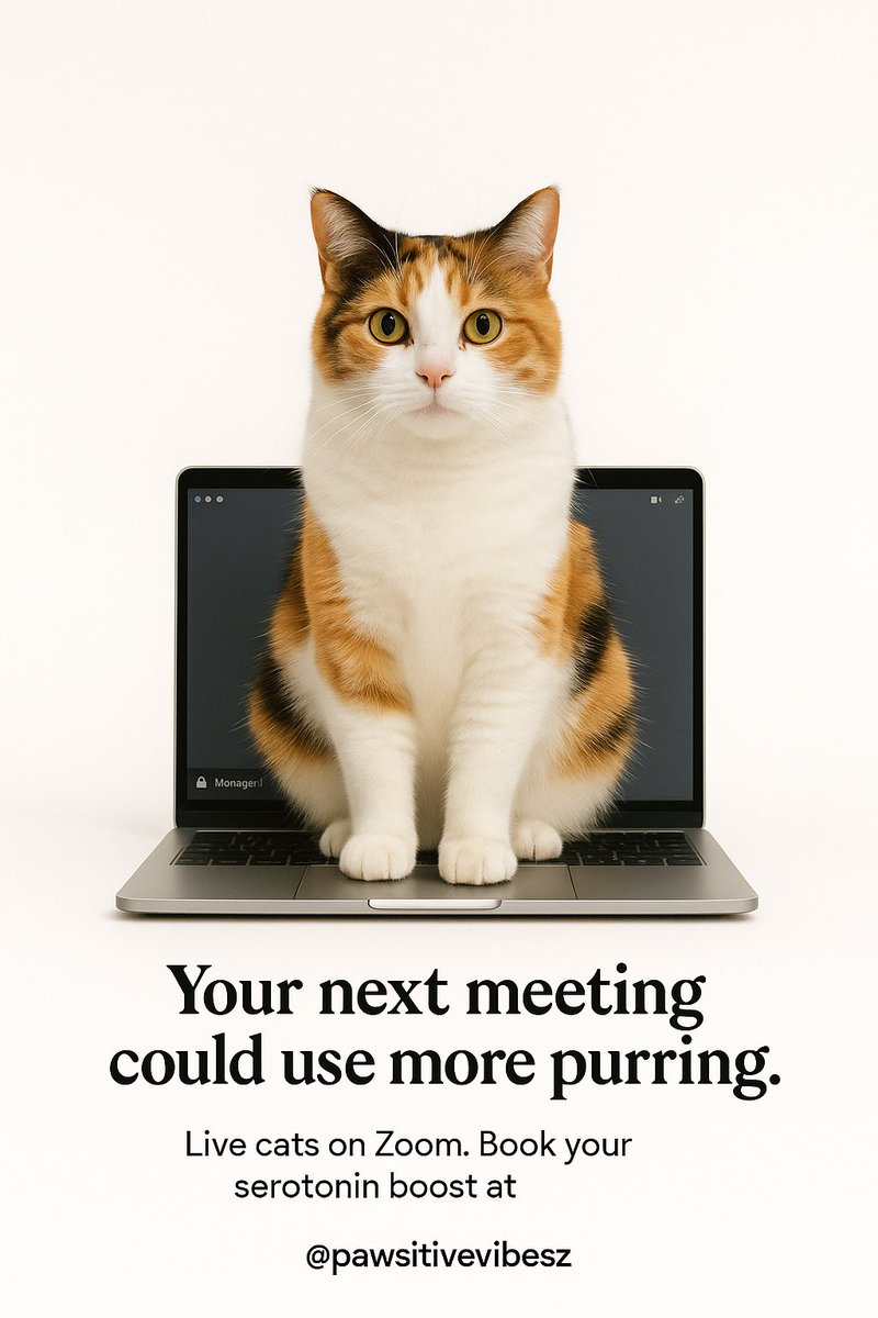 paniaguai's tweet image. Pause With Paws. @pawsitivevibesz #Caturday