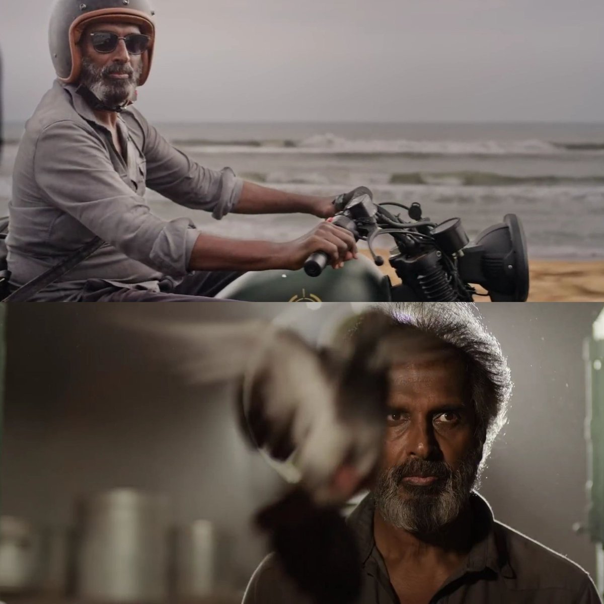 The Auteur tweet media