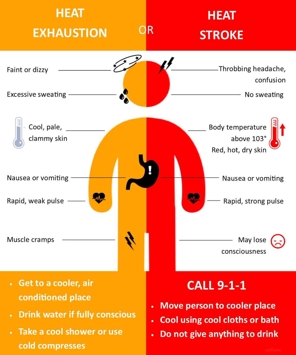 🌞 Temperatures are rising. If you’re planning to be outside today:
✅ Wear light clothing
✅ Drink water regularly
✅ Take breaks in the shade

#LAPD and city partners will have hydration stations available at key locations.

#HeatSafety #UnifiedLA