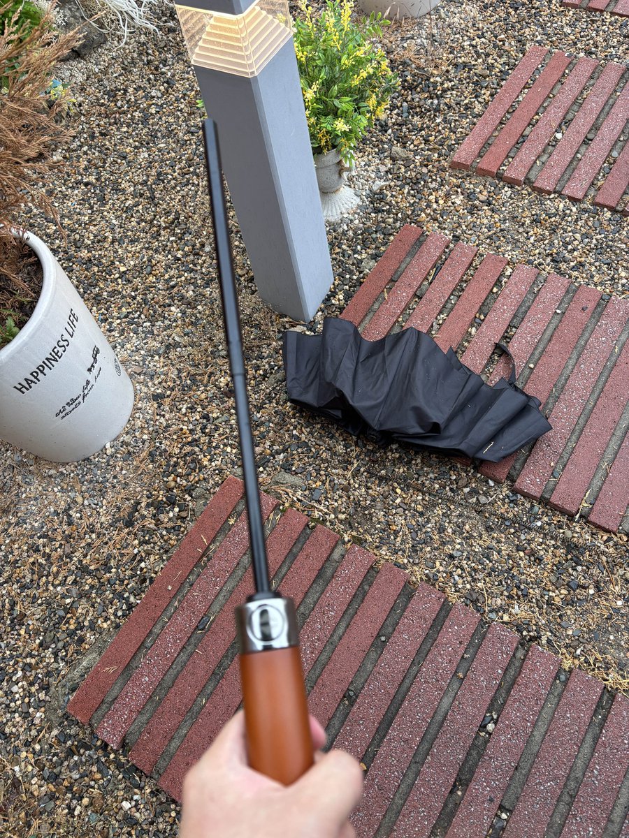 そうやって私から去ってしまった···☔️