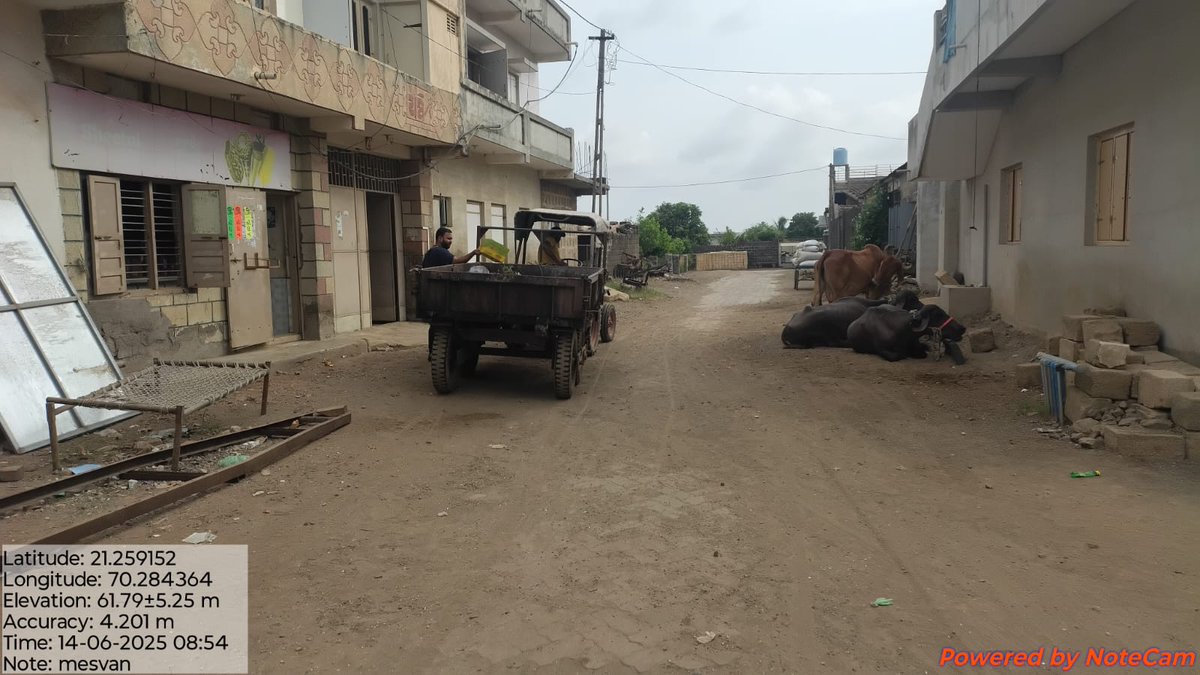 MesvanGP's tweet photo. મેસવાણ ગામે વિવિધ વિસ્તારમાં સફાઈ કામગીરી હાથ ધરવામાં આવી. 
@collectorjunag @DdoJunagadh @esdmkeshod @DrdaJun1 @DyddoPan @DPJUNAGADH 
@TDO_MANGROL_JND
@InfoJunagadhGoG https://t.co/tDQGXQrjI1