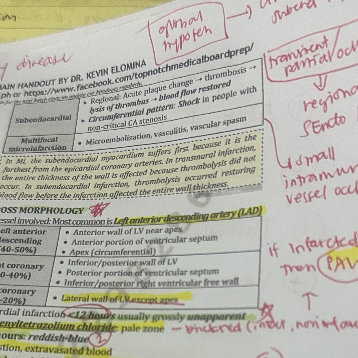 helnotes tweet picture