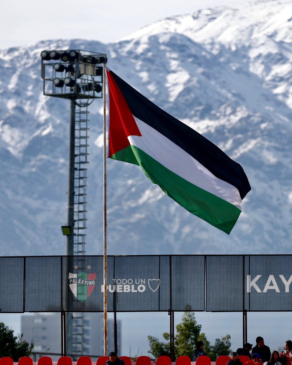 CDPalestinoSADP's tweet photo. ¡EL ESCENARIO DE HOY! 😍🇵🇸

#TodoUnPueblo 🇵🇸
#LigaDePrimera 🏆 https://t.co/9LsIgsER7J
