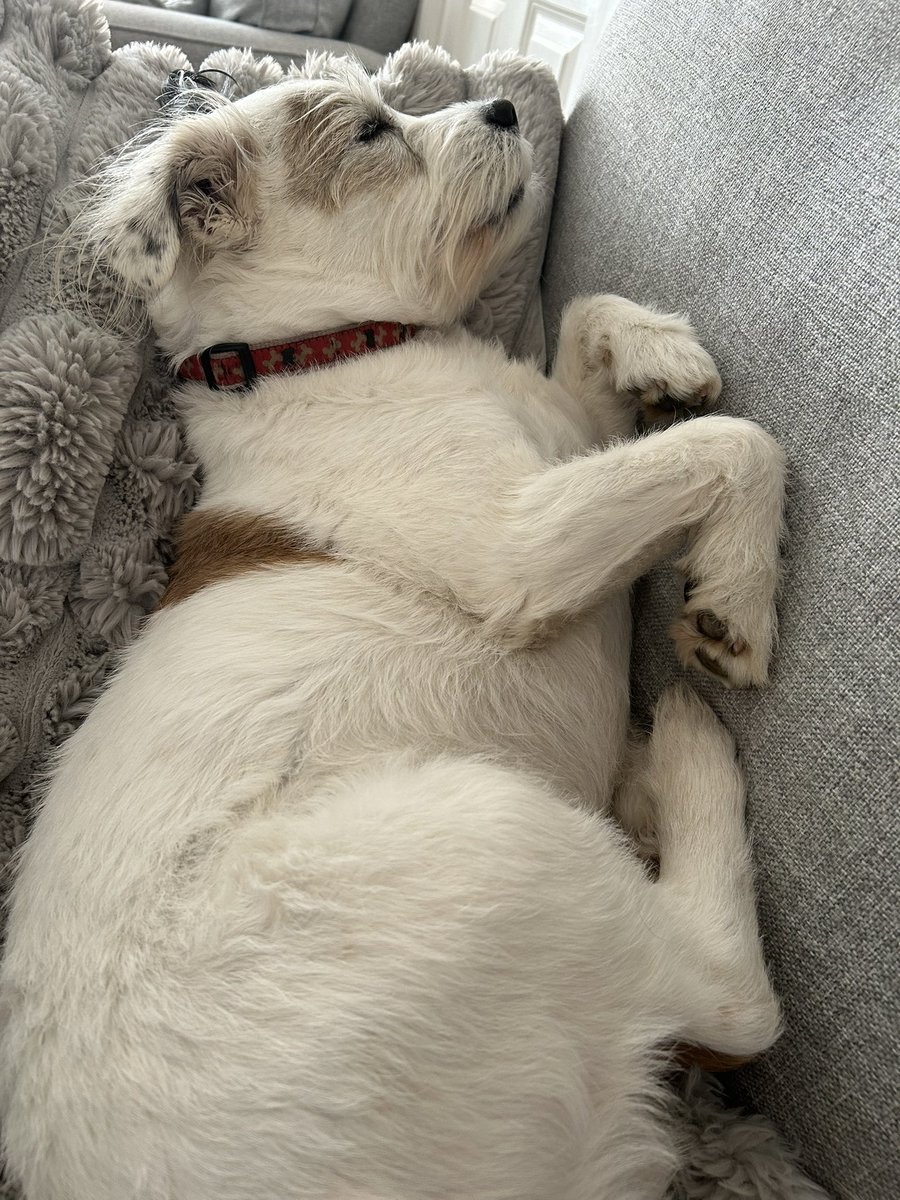 Sleeping’ booty 😴 ❤️