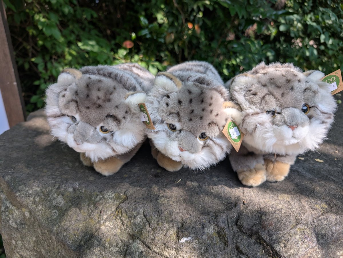 Zwar keine echten Manuler gesehen, dafür welche zum mitnehmen.