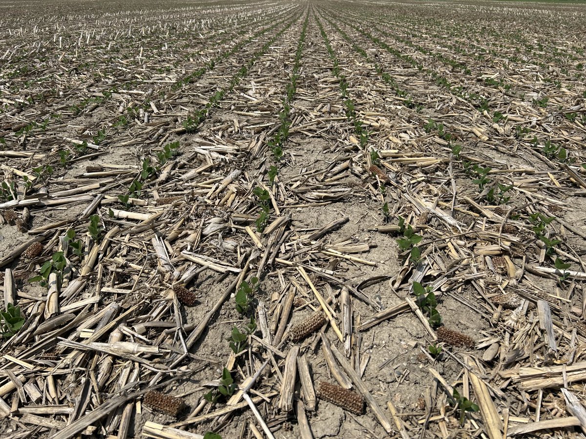 Ryan Benjamins (@ryanbenjamins) on Twitter photo Authority Supreme and Metribuzin are working very well for me in conventional soybeans again this year!  We had lots of activating rainfall for the Sulfentrazone and Pyroxasulfone. Authority Supreme and Metribuzin are working very well for me in conventional soybeans again this year!  We had lots of activating rainfall for the Sulfentrazone and Pyroxasulfone.