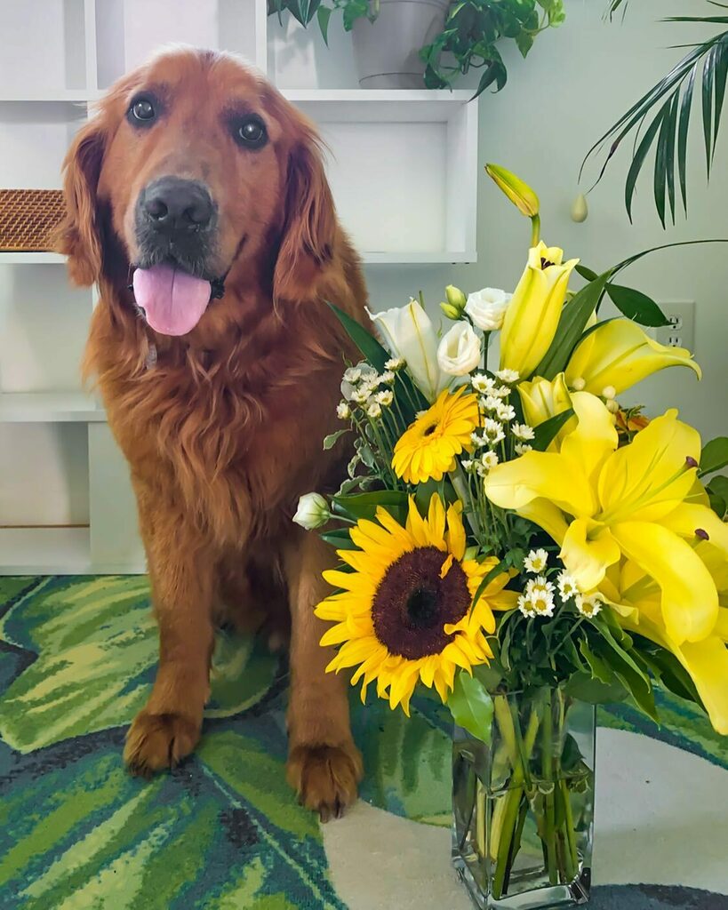 Happy birthday <a href="/bouncebckbelle/">Marj.</a>