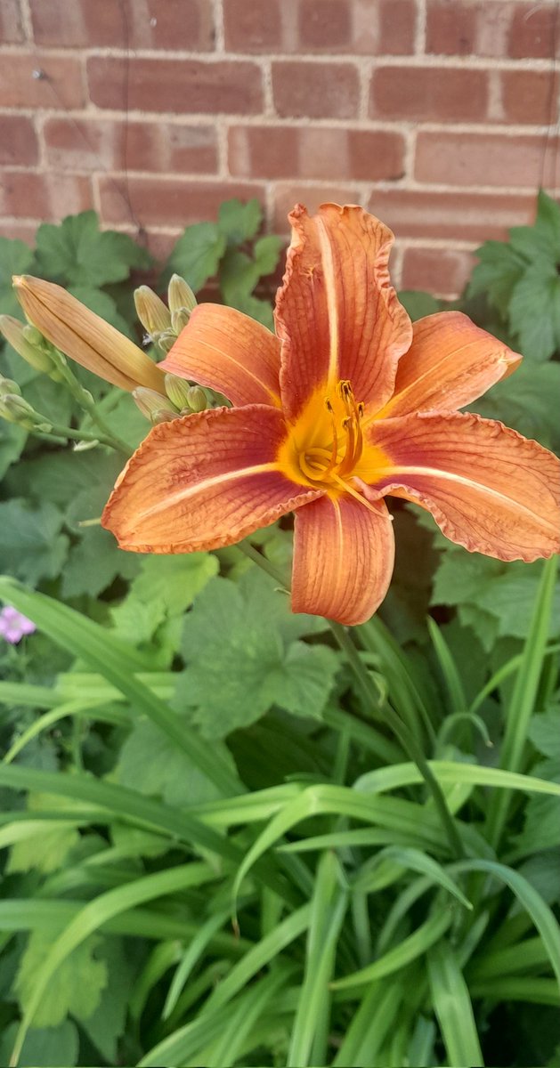 Castafi0re's tweet image. Summer.