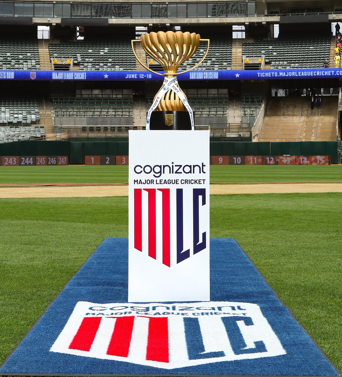 Elizabeth A. White 📚⚖️♟️ tweet media