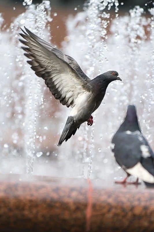 "نُفرد الجناح بِشجاعة،حين نشعرُ بالأمان. "