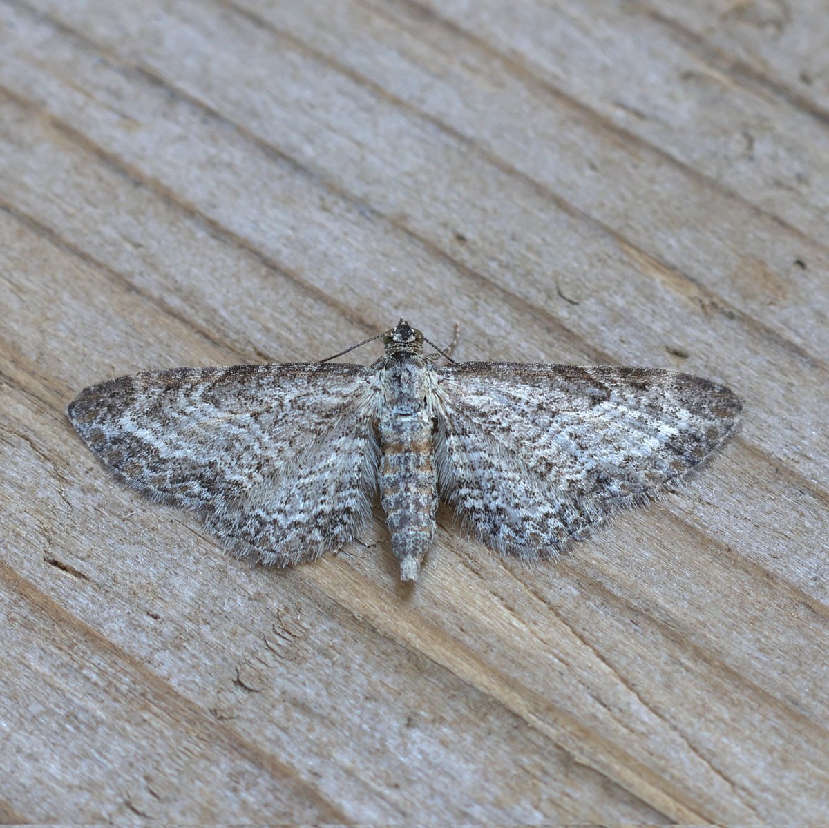 Jeremy Lindsell tweet media