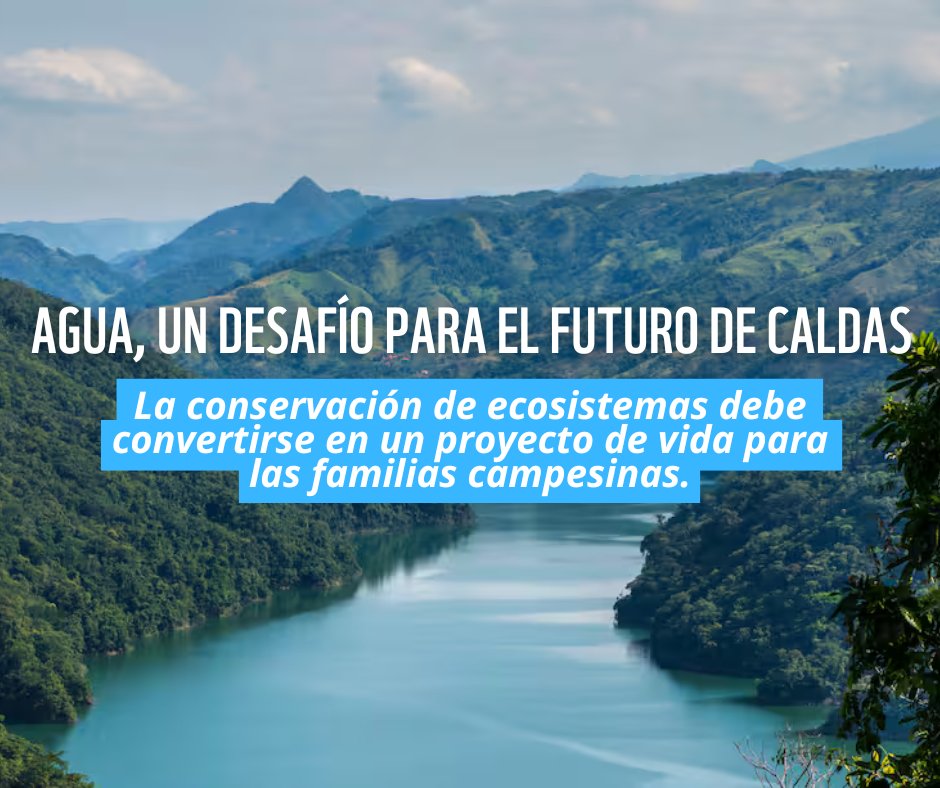 Caldas anda con sed de futuro 💧

Más de 70 actores se reunieron en el ‘Encuentro por el Agua y la Energía Renovable 2025’ para trazar una ruta que revierta el deterioro de cuencas clave como la del Chinchiná-Guacaica: elespectador.com/ambiente/bibo/…
