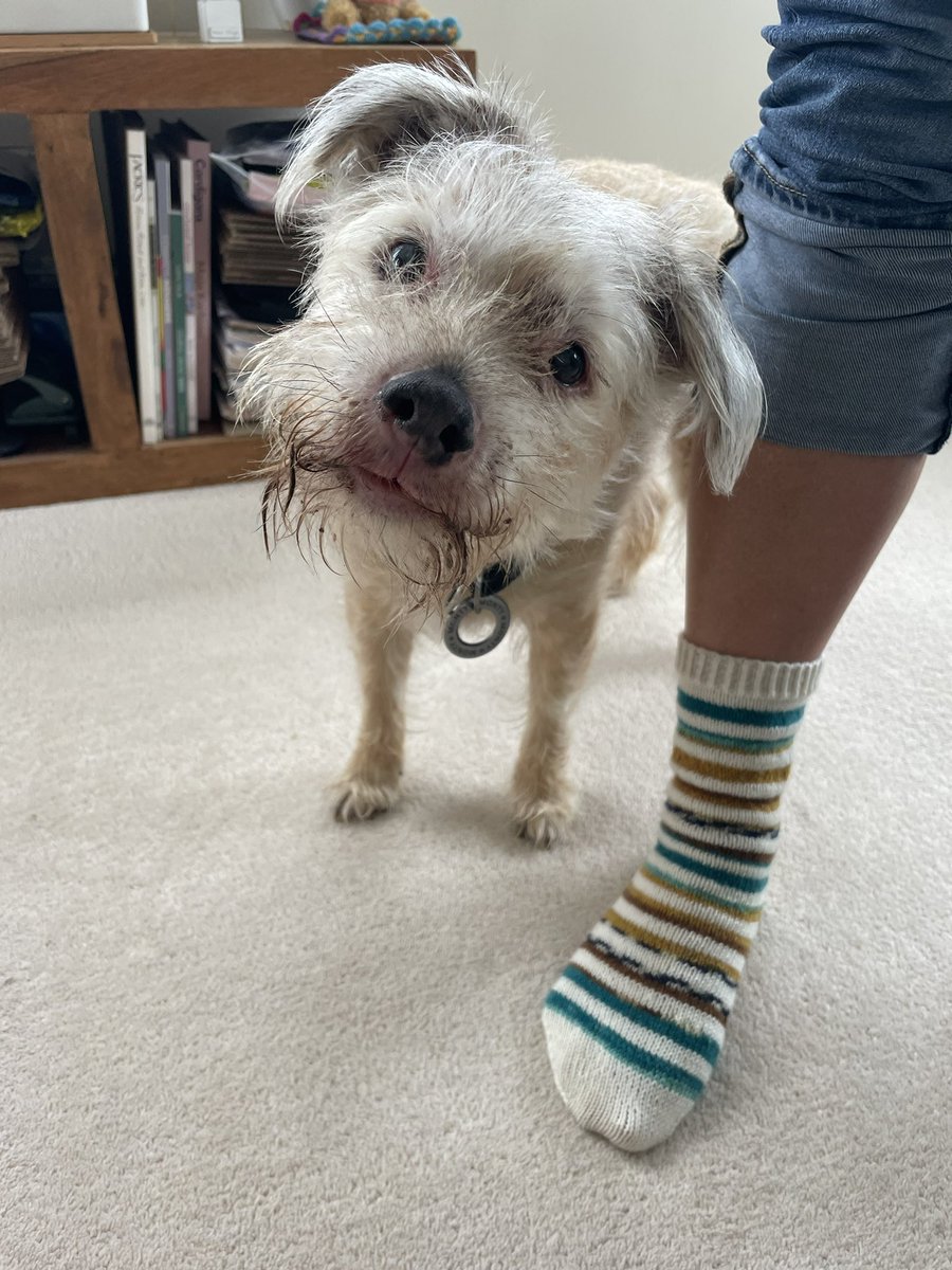 1 of 2 
🧦