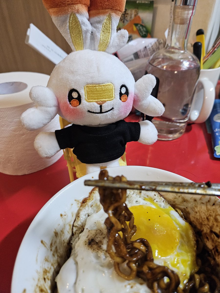 #ポケモン #ポケぬい #ヒバニー 
#ブニとブギ
ブニわ今寝ているからブギとねちゃんのひみつ~
🌙