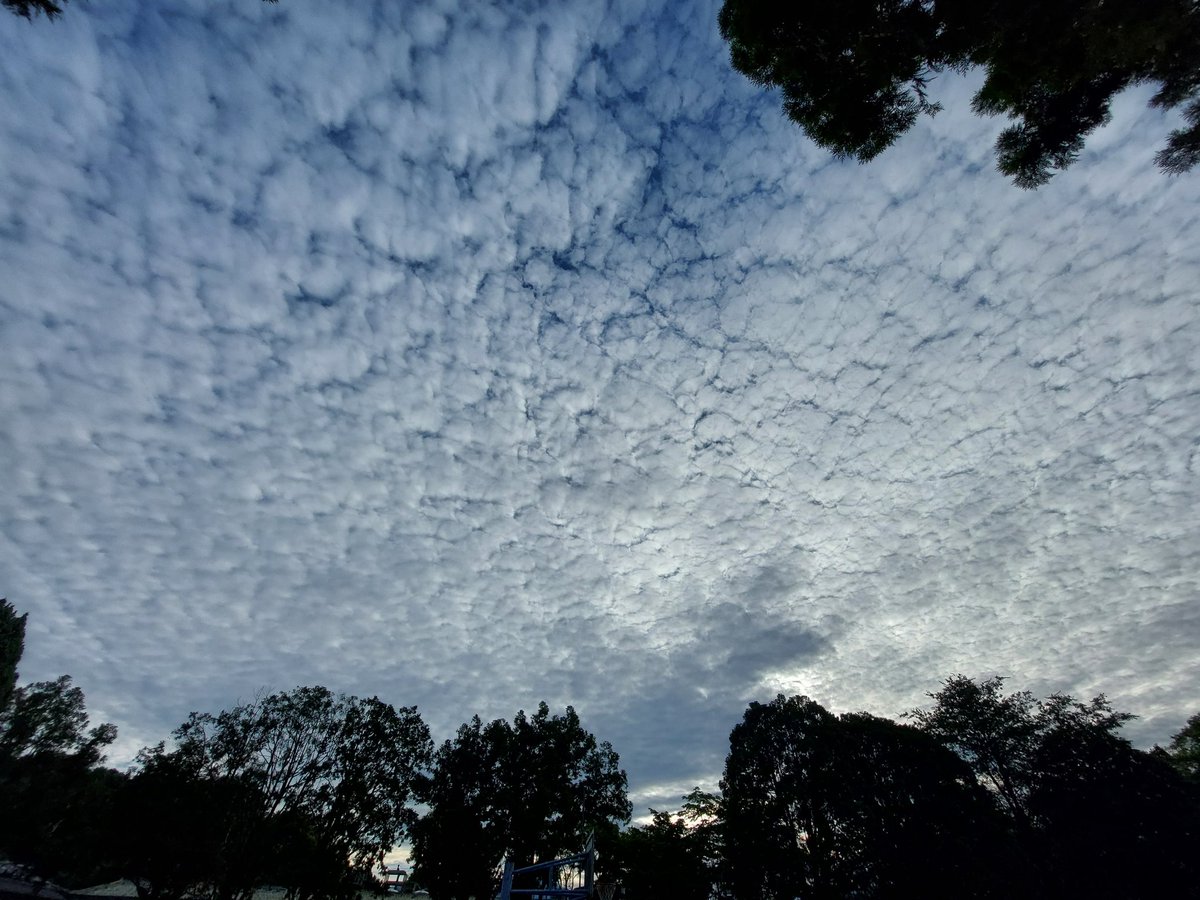 Ming_I Chen (@cmi12391) on Twitter photo 