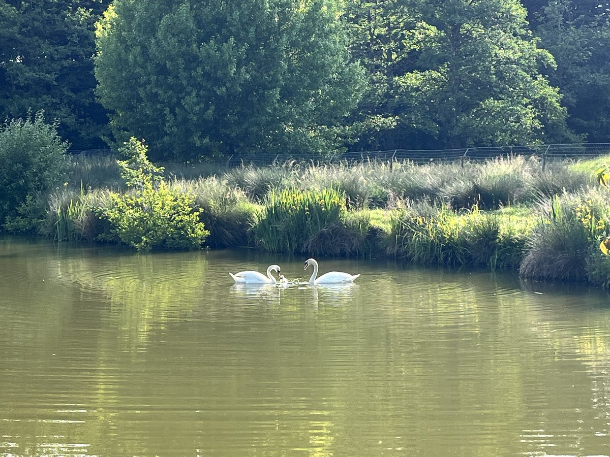 We had fun celebrating you birthday yesterday <a href="/CharlesBristow/">Charles Bristow</a> whilst you did what you love best, flying. Maybe one day we will be able to join you……. Happy birthday 🎂 x
