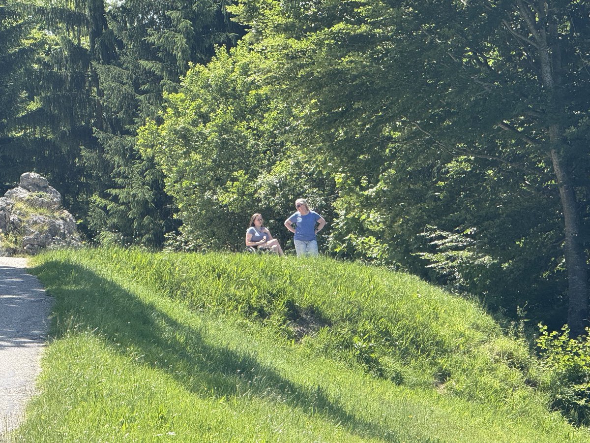 🏛️🇩🇪Sommerrodelbahn / Toboggan 🇩🇪🏛️
15