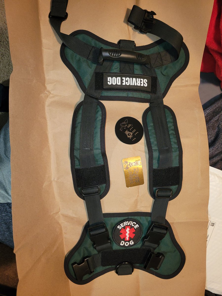 Avipup_'s tweet photo. Just got my harness from @SpicyServiceDog! Fits great and well stitched. Can't wait to get it on with the rest of my gear. And maybe get some extra patches https://t.co/3JfW2Em5od