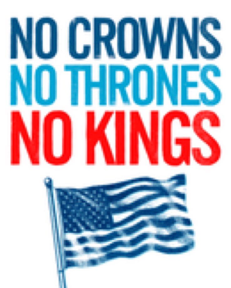 Ingridebap's tweet image. Yes all of it &amp;amp; when you’re done please read #14thAmendmentSection3 the law of the land that disqualifies &amp;amp; removes those bent on overturning our government &amp;amp; dishonoring their oath of office! 

Yes Let’s MAKE 14.3 GREAT AGAIN ~ it’s in the constitution to be our saving grace!