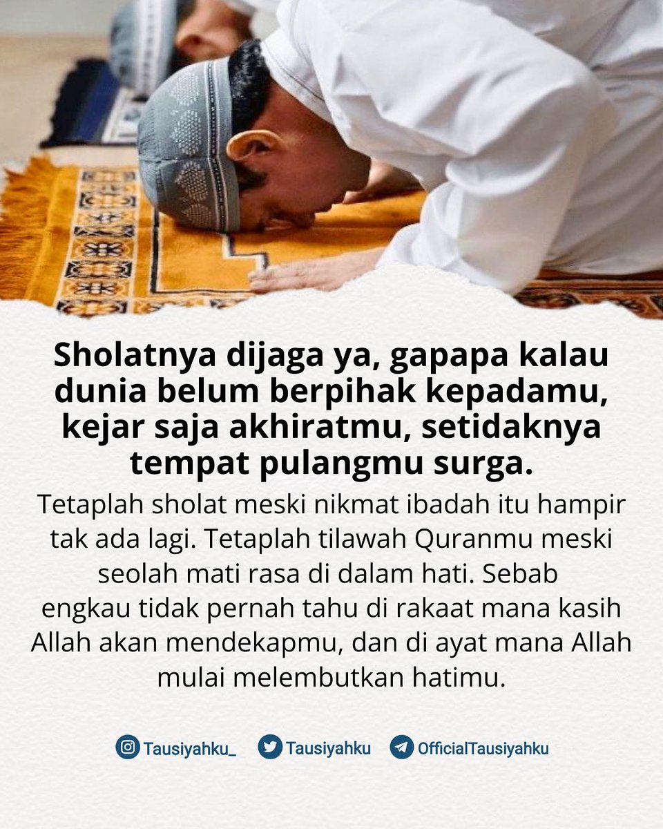 Tausiyahku tweet media