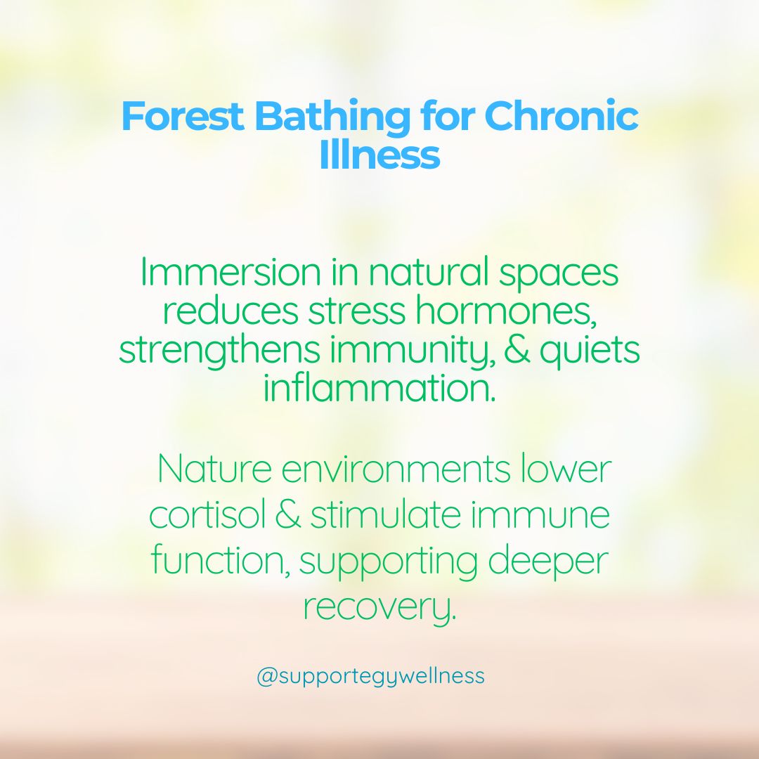 Nature doesn’t just nourish the spirit — it heals the body. 🌳 Save this as a reminder.

#chronicillness #autoimmunedisease #chronicpain #mindbodyhealing #chronicillnesswarrior #chronicillnesscommunity #holistichealth #chronicillnesssupport #healing #selflove #lupus #arthritis