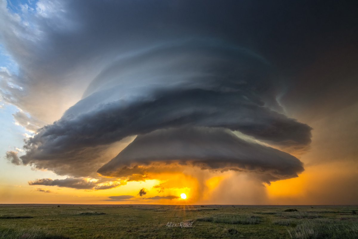 aresel_'s tweet image. One week ago, I was living the dream in New Mexico