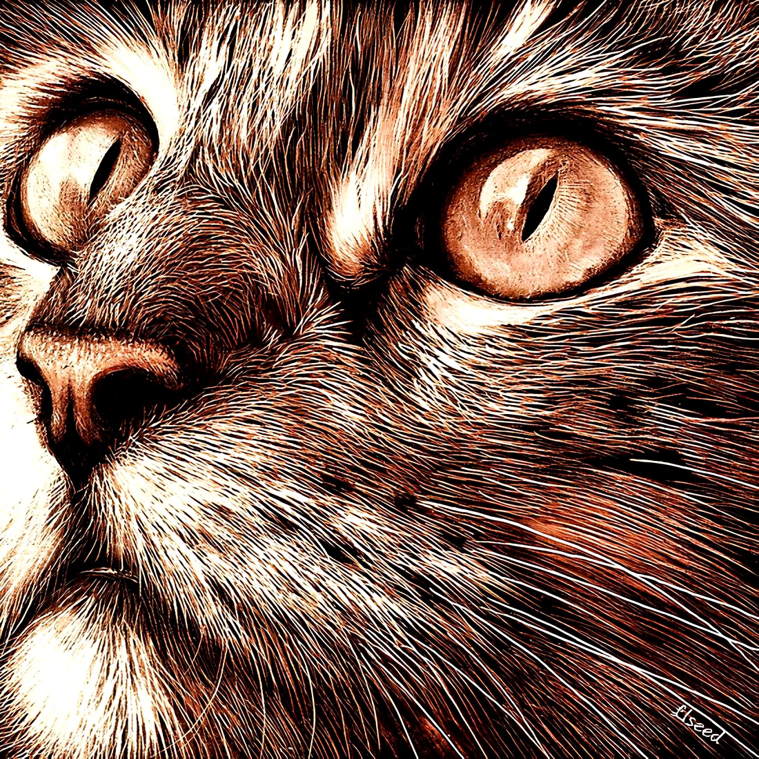 "A cat has absolute emotional honesty: human beings... may hide their feelings, but a cat does not II💖🐈
Acrylics&amp;oils painting on canvas
Size : 16 x 23 inches 
Cats choose us, we don’t own them.

If you enjoy my art and ever need help narrowing down the options, my DMs are open