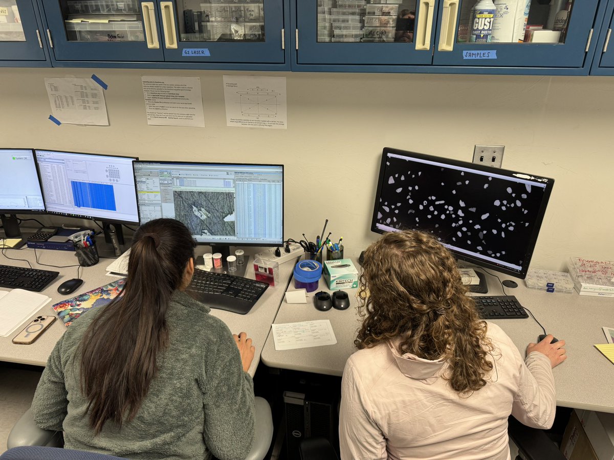 Dan Morgan tweet media