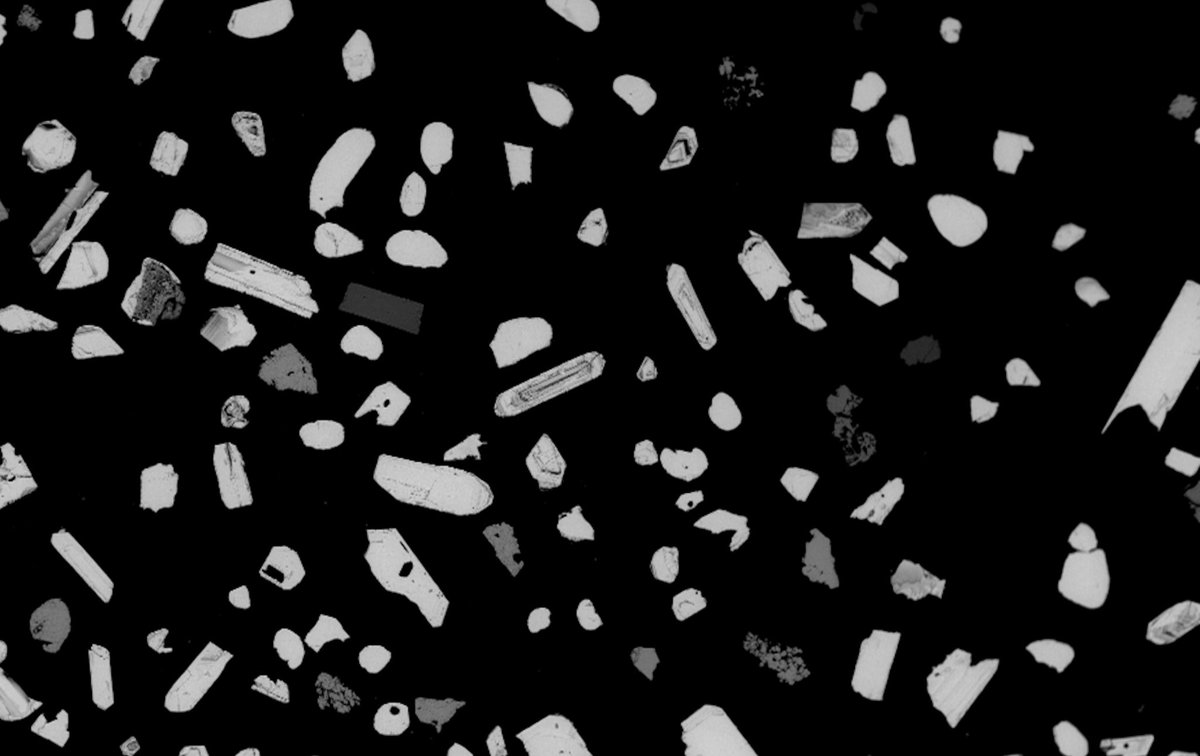 Dan Morgan tweet media